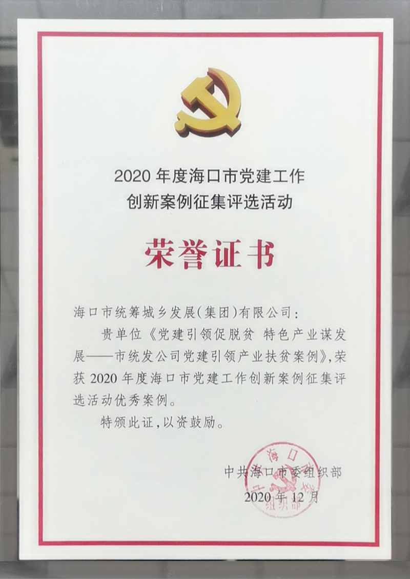 2020年度?？谑悬h建工作創(chuàng)新案例征集活動(dòng)優(yōu)秀案例